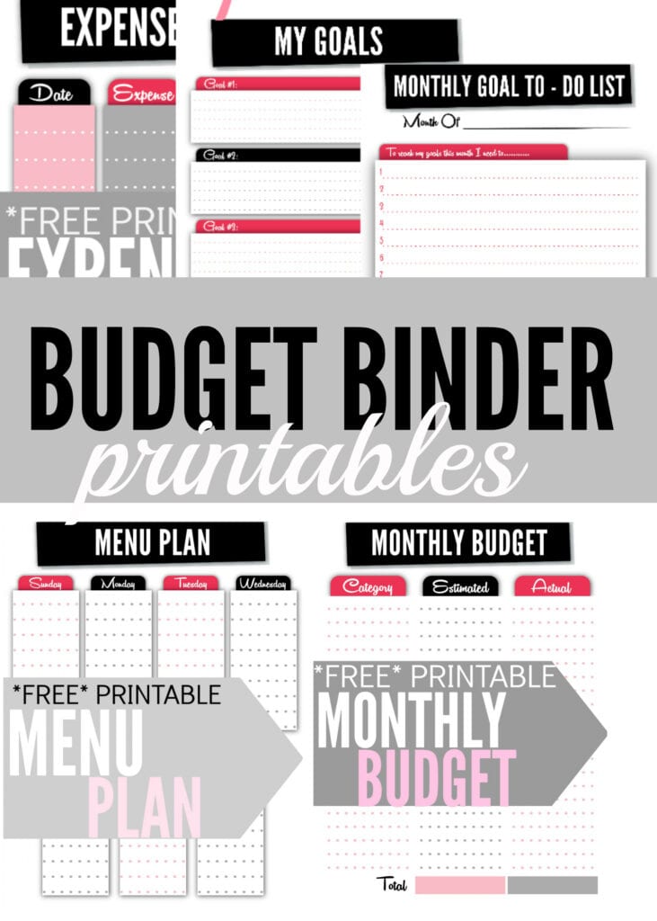 Budget Binder Printables Single Moms