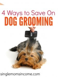 If you're not careful the cost of grooming can be hundreds or even thousands of dollars per year! Here are four smart ways to save on dog grooming. There's something for everyone on this list!