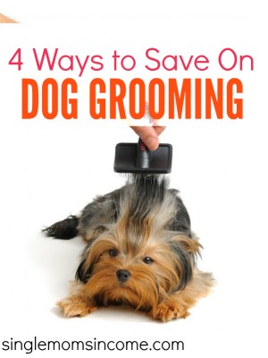 4 Ways to Save on Dog Grooming - Single Moms Income