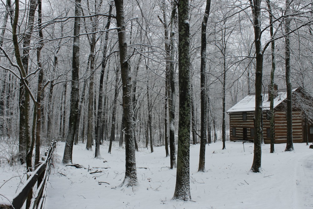 log cabin homestead