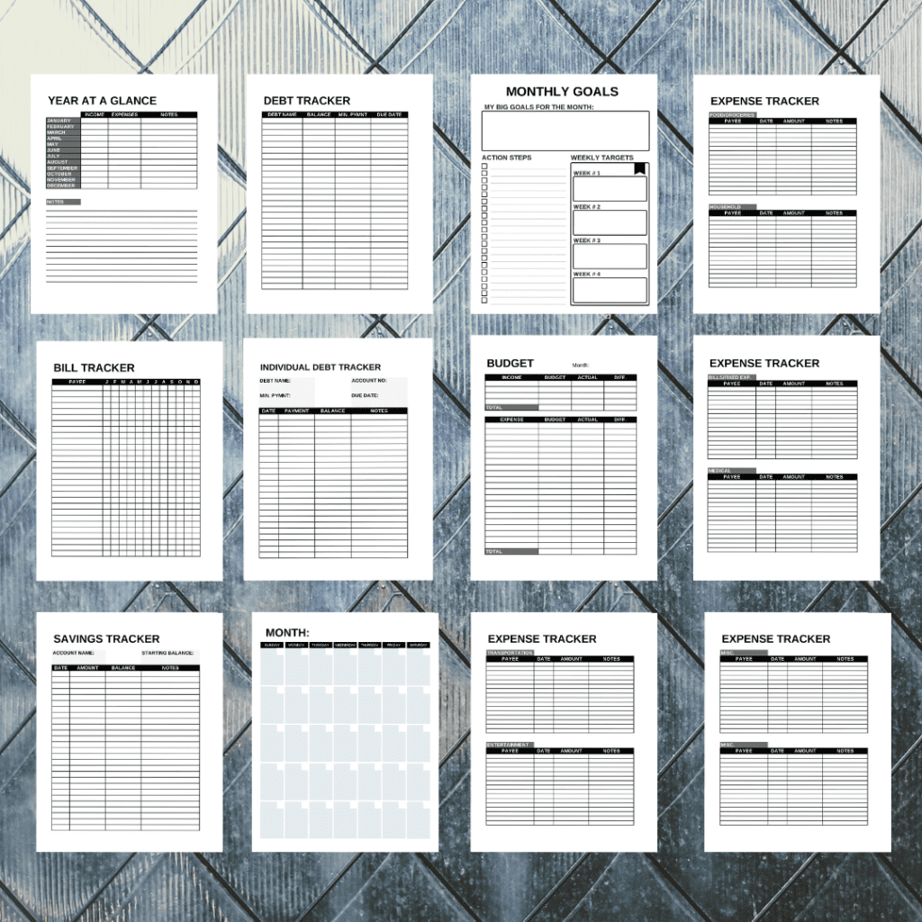 inside look at the pages inside of budge planner