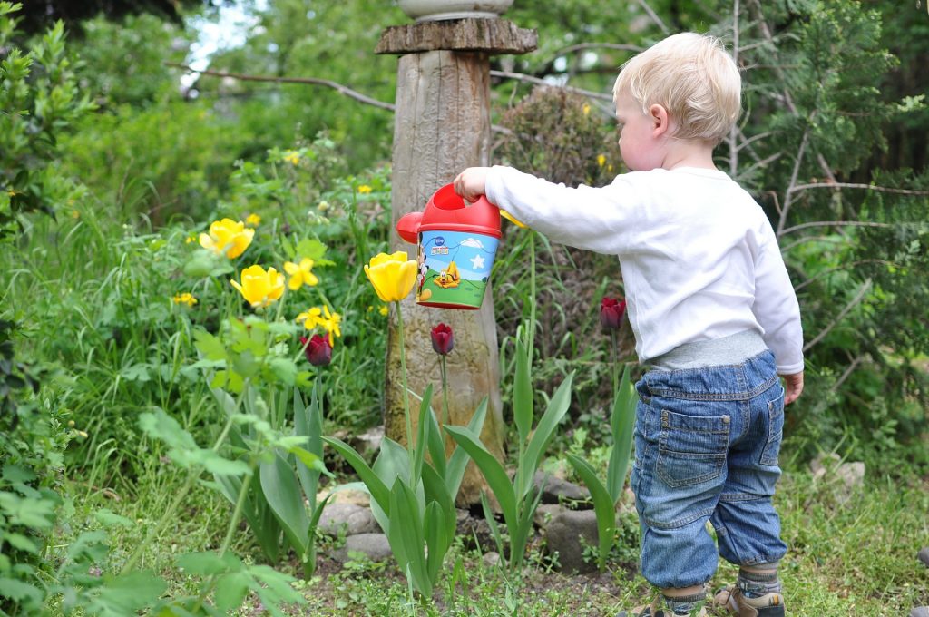 Flower Garden